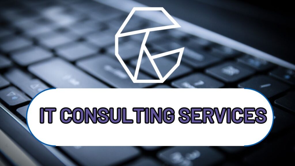 IT Consulting Services